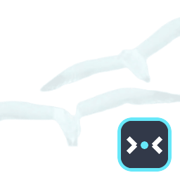 BIRD2 LSP (Beta)