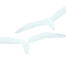 BIRD2 Configuration - Visual Studio Marketplace